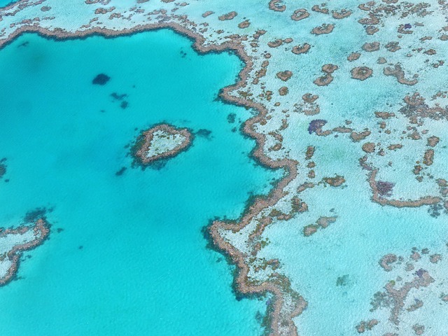 Great Barrier Reef Exploration Ribbon Reefs