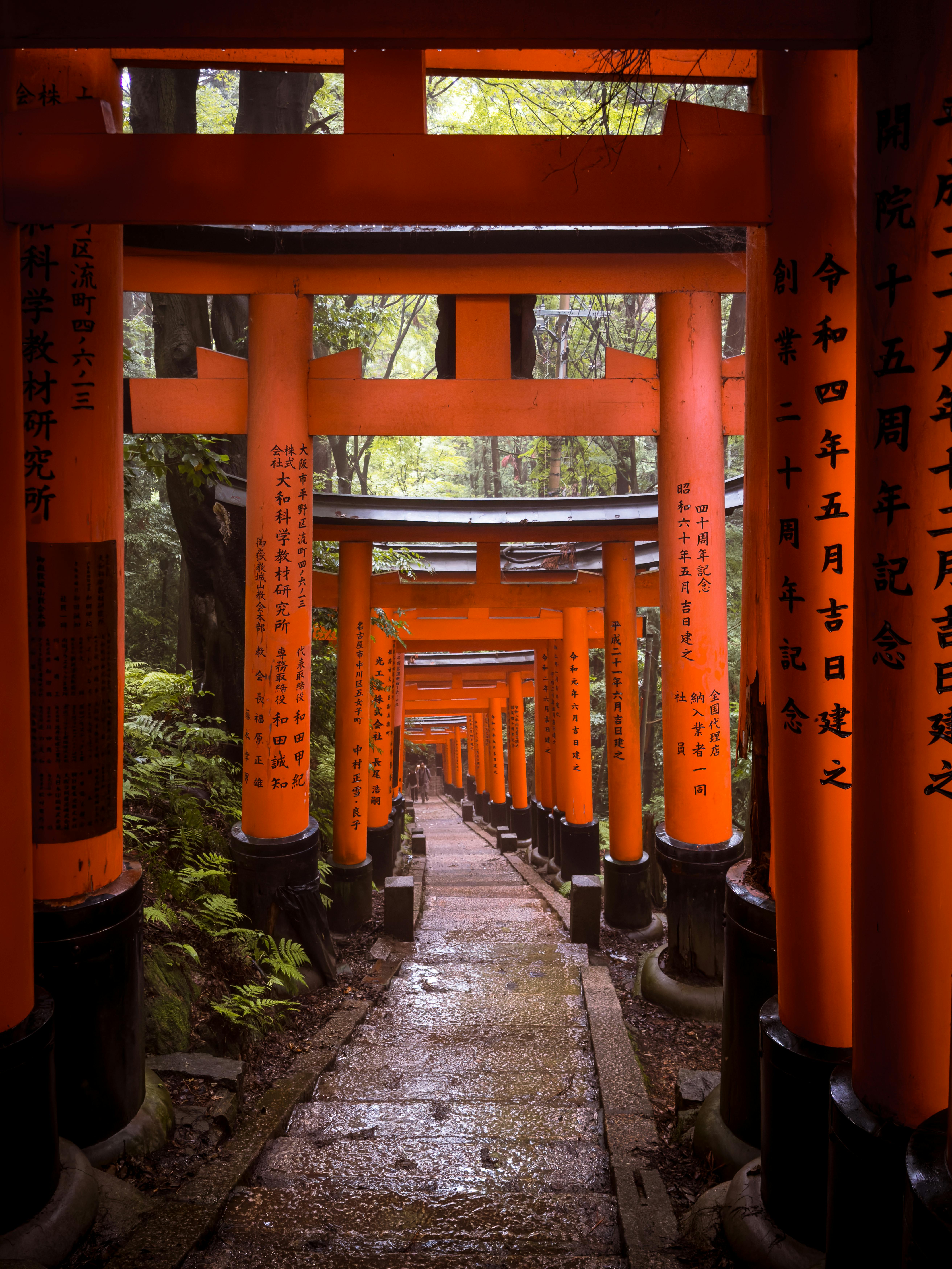 Kyoto Cultural Wonders Fushimi Inari Taisha