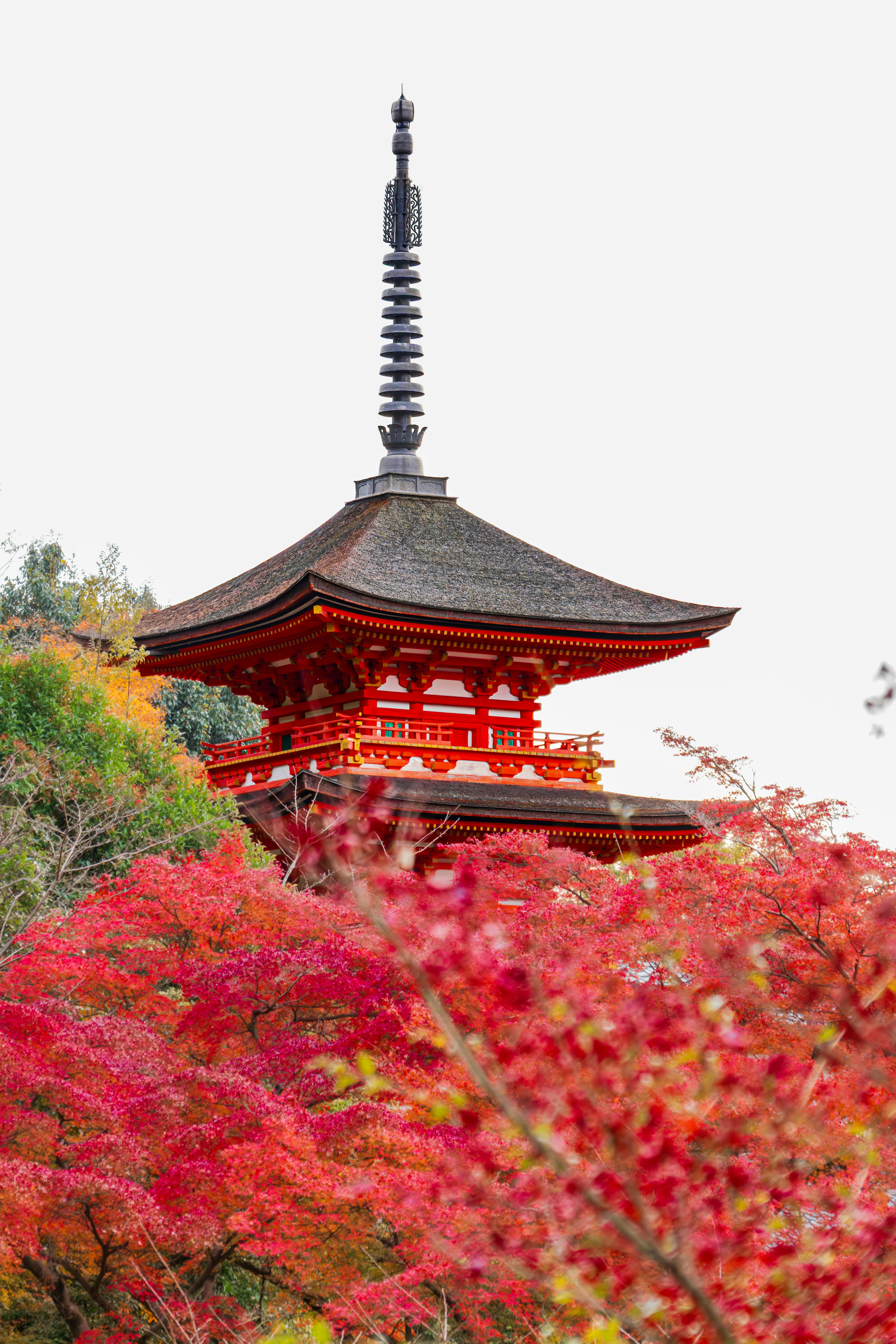 Kyoto Cultural Wonders Kiyomizu-dera