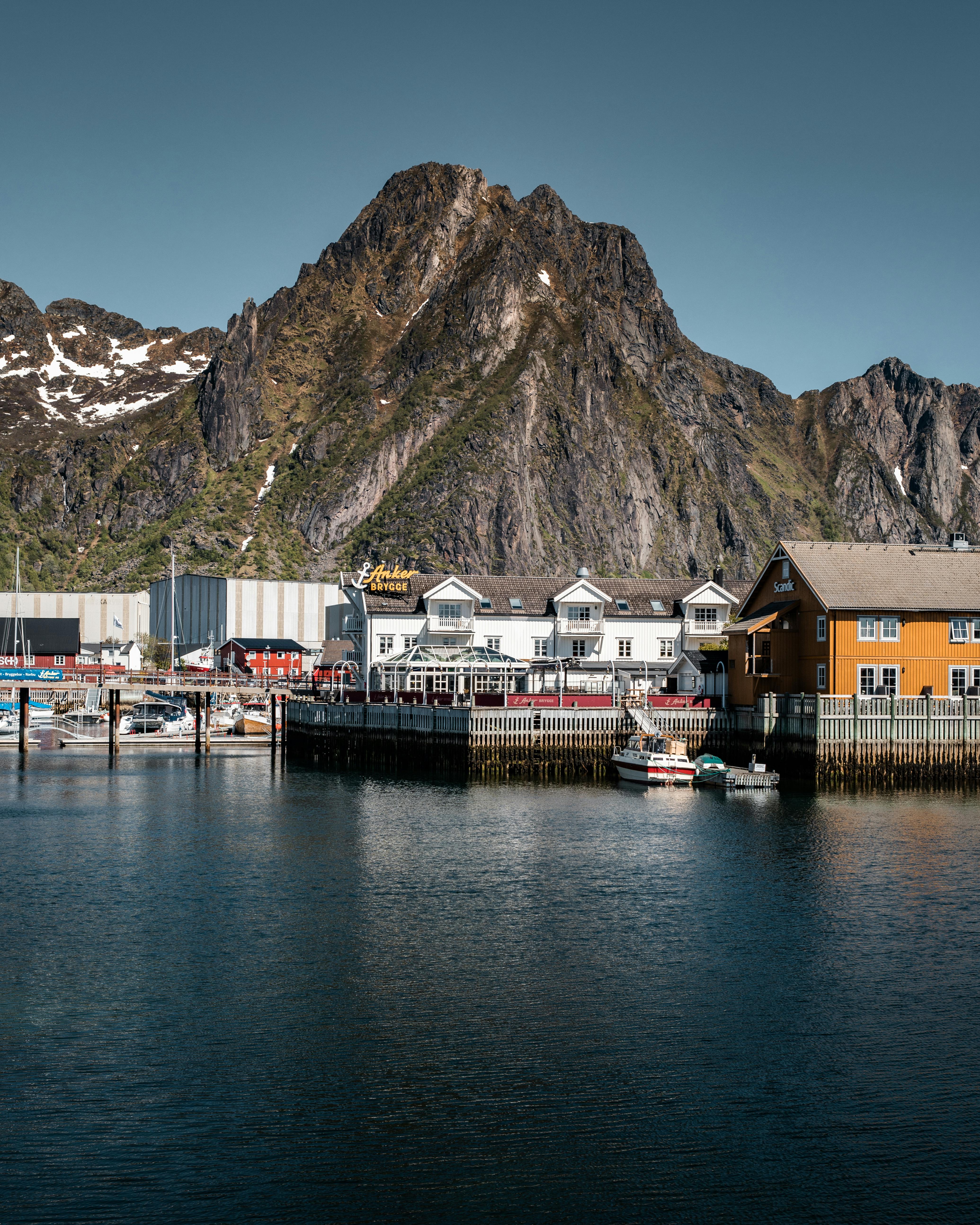 Lofoten Hidden Gems Svolvær Goat